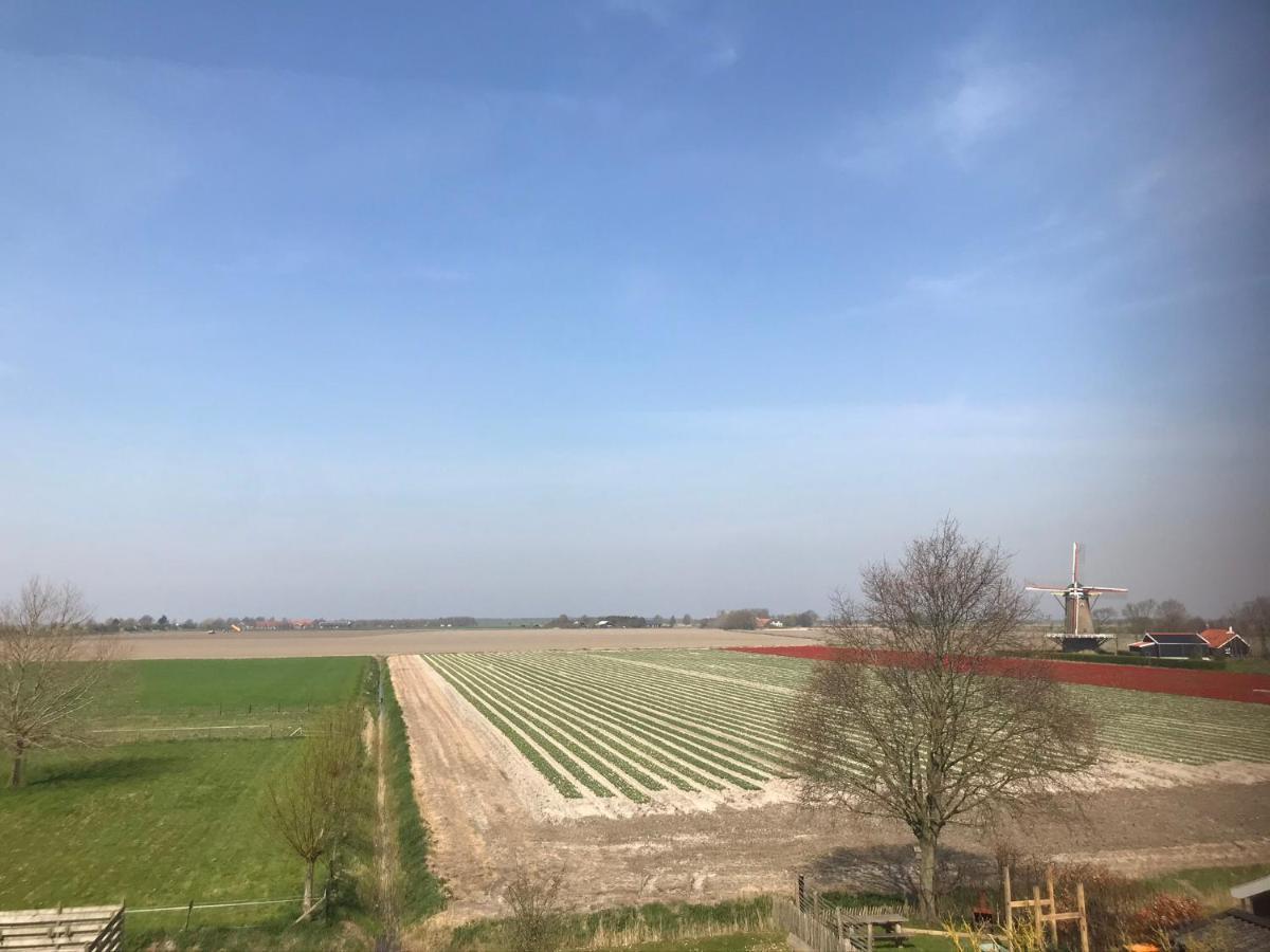 In De Gele Hoed Mooie Appartementen Met Fantastisch Uitzicht Zonnemaire Exteriör bild