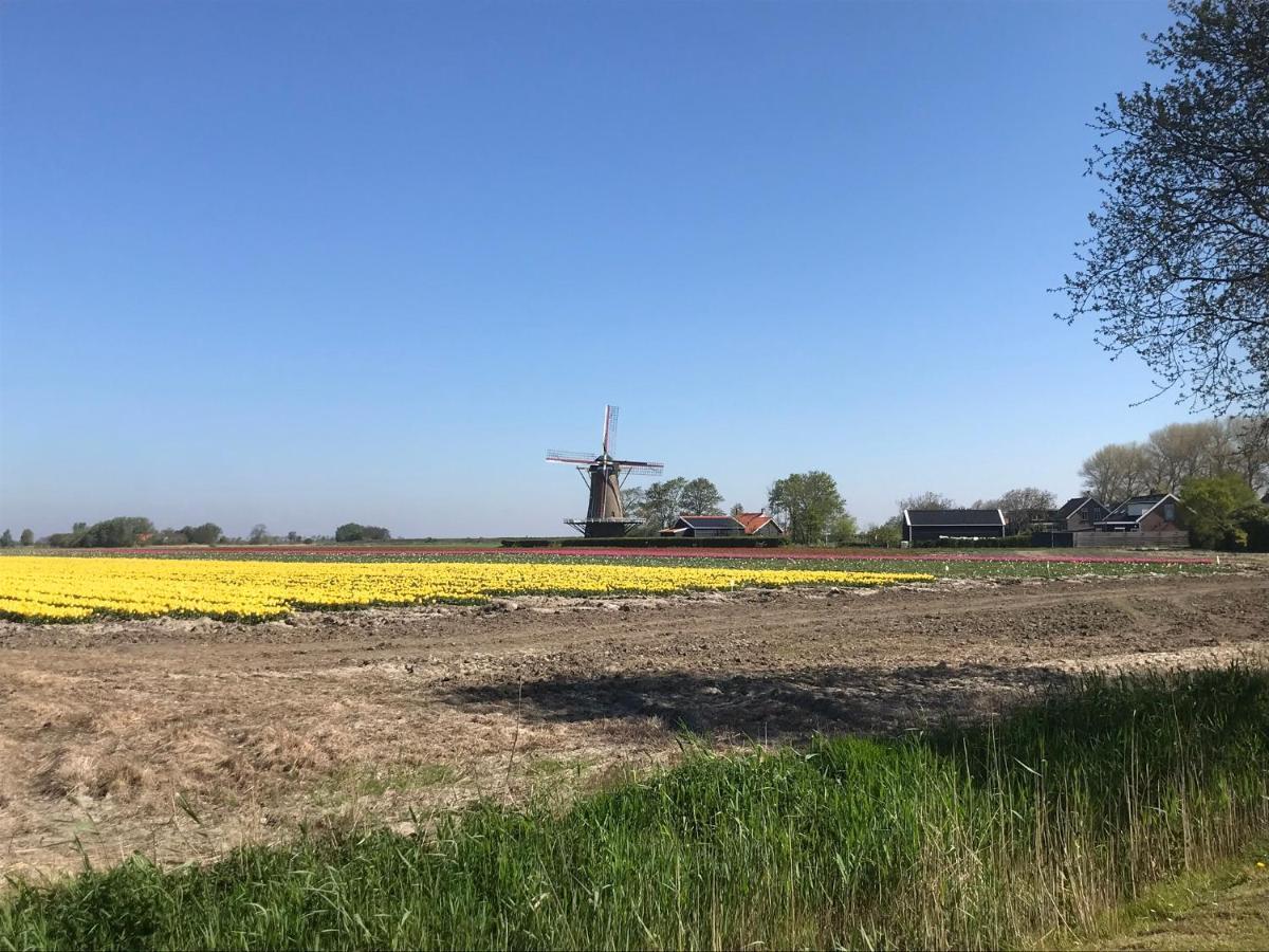 In De Gele Hoed Mooie Appartementen Met Fantastisch Uitzicht Zonnemaire Exteriör bild