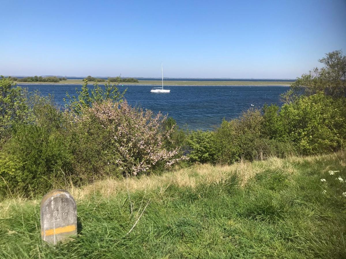 In De Gele Hoed Mooie Appartementen Met Fantastisch Uitzicht Zonnemaire Exteriör bild
