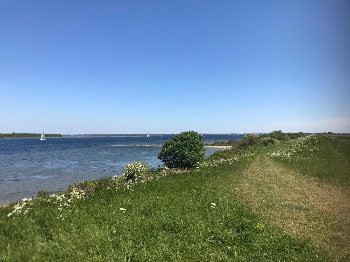 In De Gele Hoed Mooie Appartementen Met Fantastisch Uitzicht Zonnemaire Exteriör bild